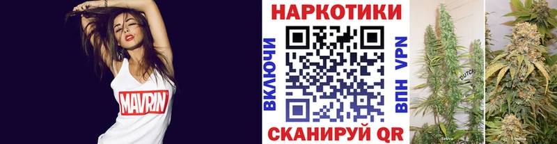 Какие есть наркотики Гдов COCAIN Меф omg рабочий сайт СК Героин Канабис Гашиш