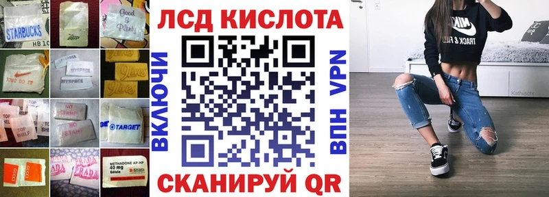 купить закладку  мориарти как зайти  Лсд 25 экстази кислота  Гдов 