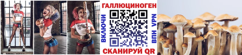 Псилоцибиновые грибы ЛСД  где купить наркотик  darknet как зайти  Гдов  kraken ссылки 